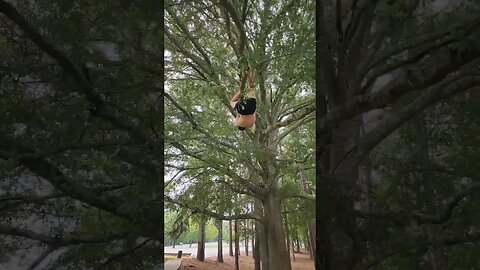 Fun Tree Climb Challenge