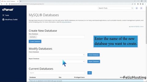 How to create a database in cPanel with FelizHosting