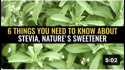 6 Things you need to know about stevia, nature's sweetener