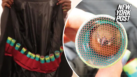 Man busted at JFK with 35 live finches stuffed inside hair curlers