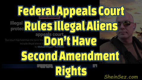 Federal Appeals Court Rules Illegal Aliens Don’t Have Second Amendment Rights-638