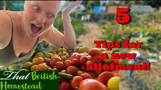 Watch this before you get your Allotment Garden