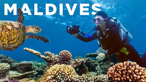 I Joined an Expedition to Save Coral Reefs | Maldives Diving