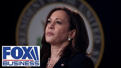 Journalist exposes Kamala's record: 'She locked up a lot of Black women' | NE