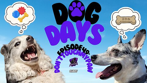 Dog Days Episode 49: Don't Touch My Paw [Australian Shepherd Blue Heeler Husky Mix]