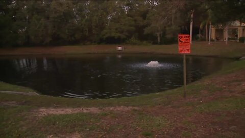 Clearwater Fire & Rescue rescues woman from sinking car in pond