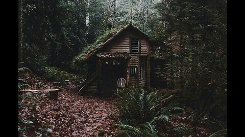 The sound of rain & thunder at the wilderness cabin for your sleep.