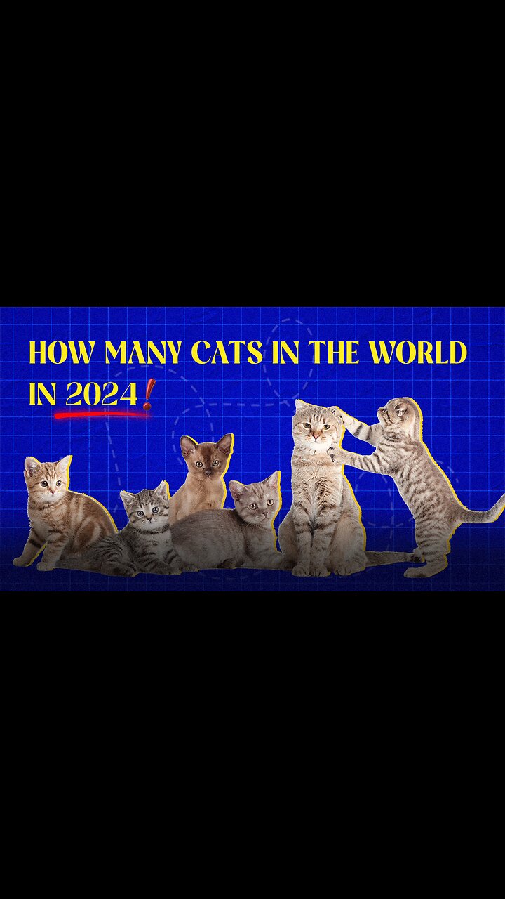 How many cats in the world in 2024?