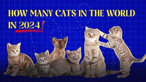 How many cats in the world in 2024?