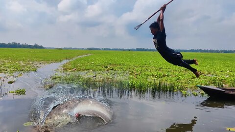 Amazing Experts Boy Monster Fish Catching Experience 💔 Fish Hunting In Beautiful Place With Teta