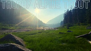 STUNNING Alpine Lake Has BIGGEST Mountain Trout I've Ever Seen