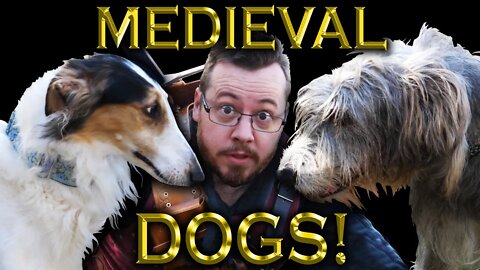 Medieval DOGS were AMAZING! (re-upload)