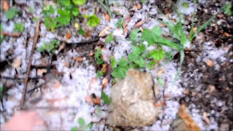 Altadena California Snow Pellets Hail Graupel