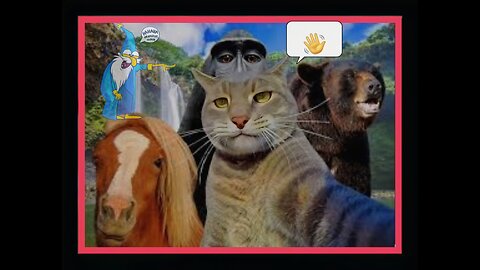 Funny Dogs and Cats Videos 2024- Best Funniest Animal Videos of the week #13