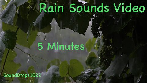 5-Min Rain Bliss: Quick Relaxation Fix