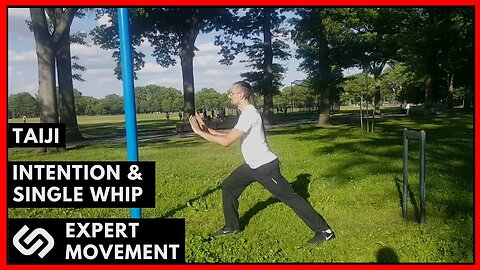 Single Whip & Importance of Intention ☯ Modern Combat Taiji Chuan