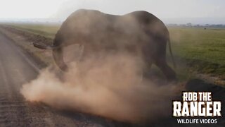 Elephants And Dust - Two Amboseli Constants! | Zebra Plains Safari