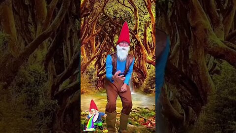 Gnome Vlog Day 5: