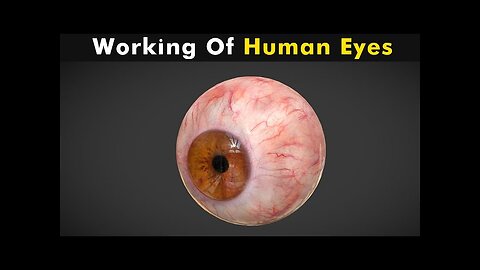 How Human Eye works || Urdu & Hindi || 3D animation of Eye Working