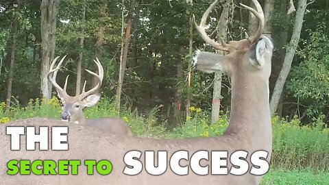 The Secret to Deer Hunting Success