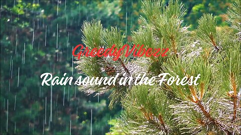 Rain Sound in the Forest with Thunder | Rain Mood