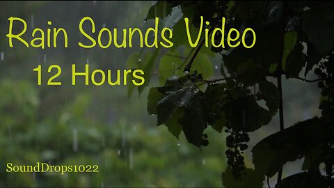 The Most Peaceful 12 Hours Of Rain Sounds Video