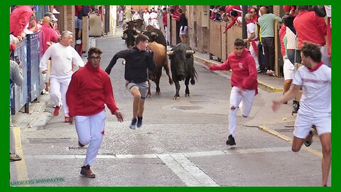 CASCANTE ( NAVARRA ) MATINAL ENCIERRO Y CALLE ( DOMINGO 27 AGOSTO 2023 ) GANAD.EL PINCHA