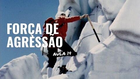 #14 força de agressão