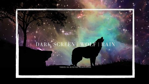 Rain in the forest with a dark screen | For relaxing