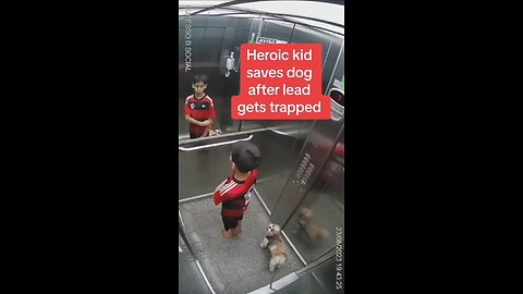 kids save a puppy