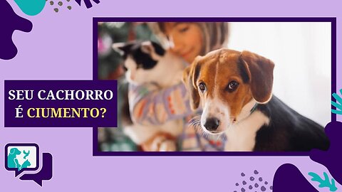 CACHORRO CIUMENTO, o que fazer?