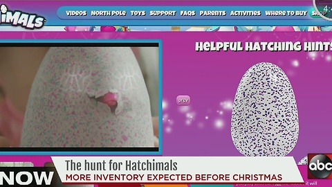 Hatchimals may be in stock before Christmas holiday