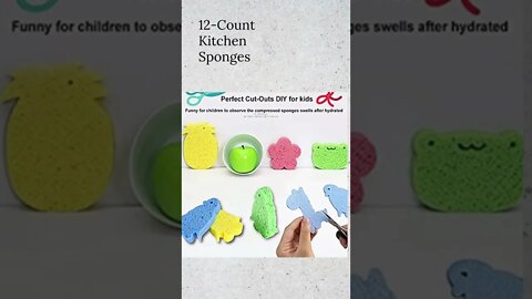 12 Count Kitchen Sponges #shorts