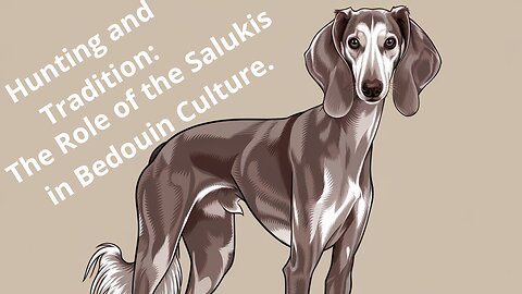 Hunting and Tradition: The Role of Salukis in Bedouin Culture.