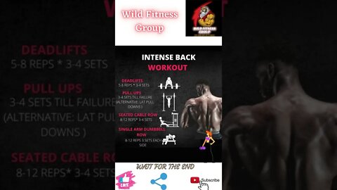 🔥Intense back workout🔥#shorts🔥#wildfitnessgroup🔥2 april 2022🔥