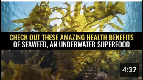 Check out these amazing health benefits of seaweed, an underwater superfood