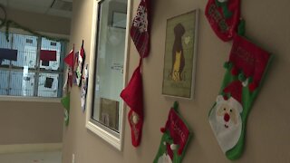 Magic Valley animal shelters encourage conversations before giving pets as gifts