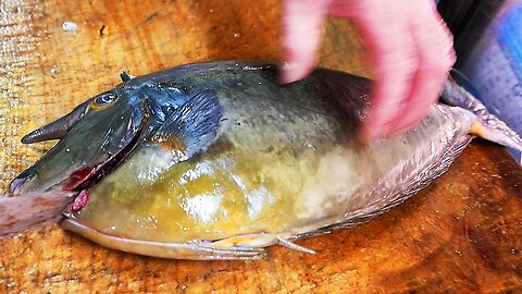 Japanese Street Food - GIANT UNICORN FISH Seafood Okinawa Japan