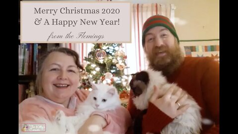 Purr View:Enjoy The Video Christmas 2020 from Tonia and Dustin @ The Kitty's Corner