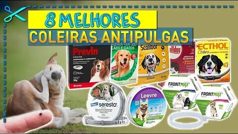 🏆 8 Melhores Coleiras Antipulgas para Cães e Gatos