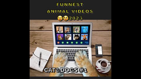 Funniest Animals 2023😀😄Best cat & Dog Videos🐕🐈part 1