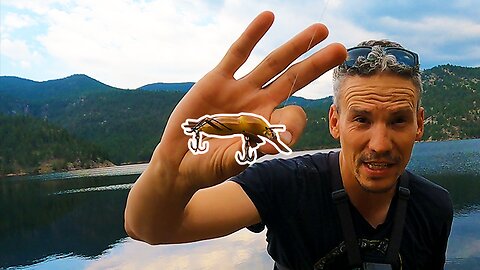 Fishing for Rainbow Trout with Giant Bug Lures! These Crazy Looking Things Really Catch Fish!