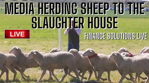 MEDIA HERDING ALL SHEEP INTO THE SLAUGHTER HOUSE FINANCE SOLUTIONS-YT LIVE