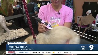 Heidi tries her hand at dog grooming