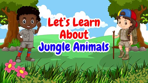 Let's Learn About Jungle Animals Educational Video