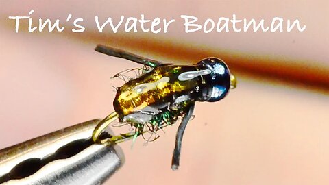 Tims Water Boatman - Stillwater Lake Fly Tying Instructions - Tied by Charlie Craven