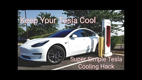 Tesla + Dogs - Tesla Hack To Keep Cool. Driving a Tesla With Dogs.