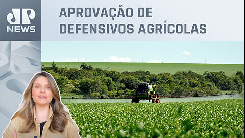 Kellen Severo: Nova Lei ajudará a modernizar agro brasileiro