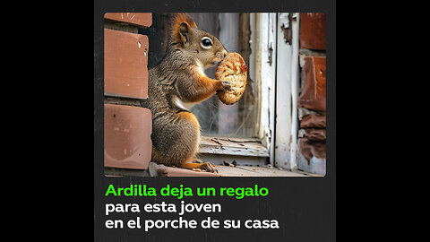 Sorpresa agradable de una ardilla en la entrada de la casa de una joven