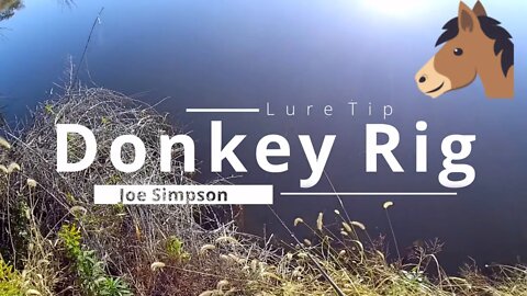 Donkey Rig - A good fall bait for bass fishing!